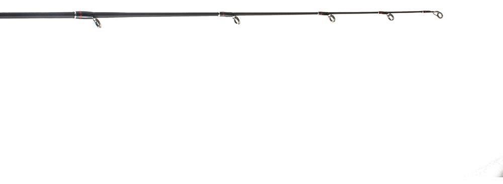 Airrus X-Entity Spinning