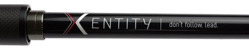 Airrus X-Entity Casting