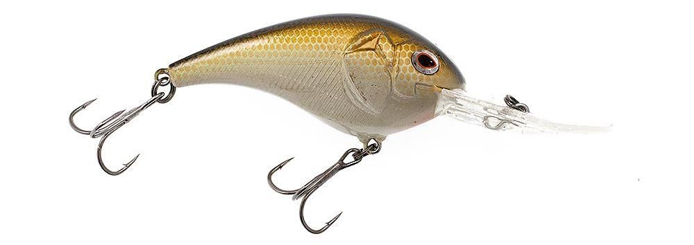 Castaic Boyd Duckett BD crankbait