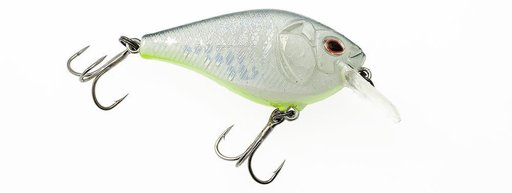 Castaic Boyd Duckett BD 1.5 Square bill Crankbait