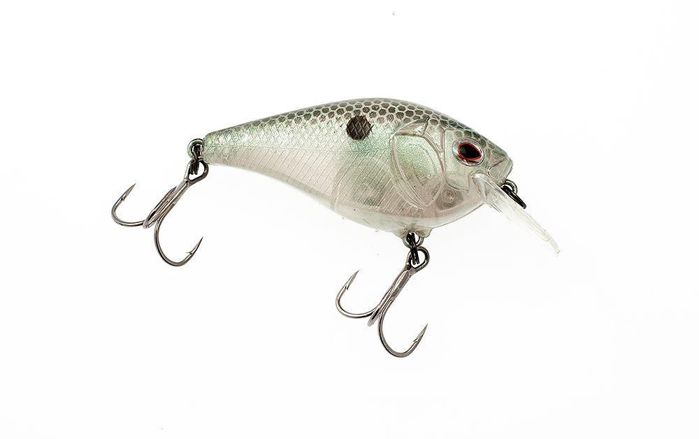 Castaic Boyd Duckett BD 1.5 Square bill Crankbait