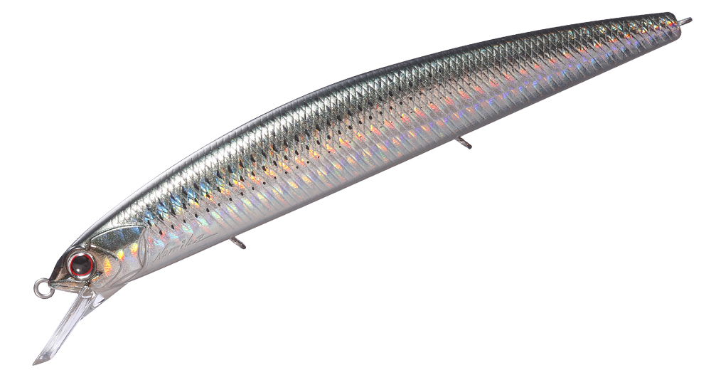 O.s.p. Rudra Saltwater