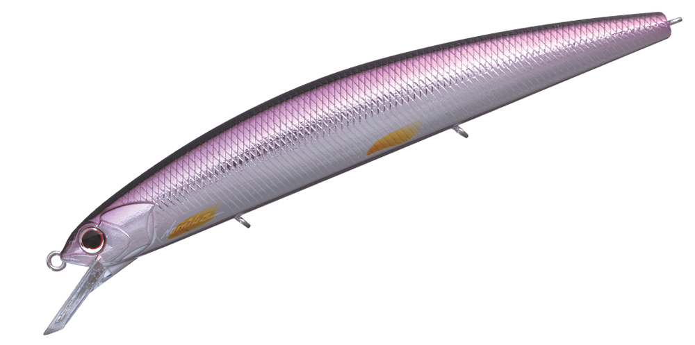 O.s.p. Rudra Saltwater