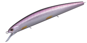 O.s.p. Rudra Saltwater