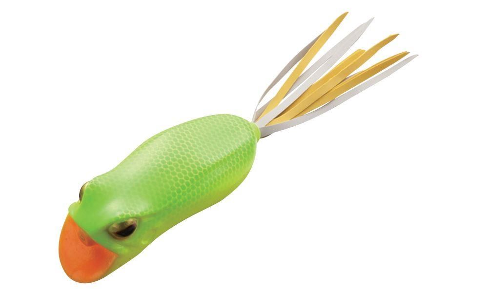 Rane Antialga di colore #205 del prodotto Evergreen Darter Frog di marca Evergreen