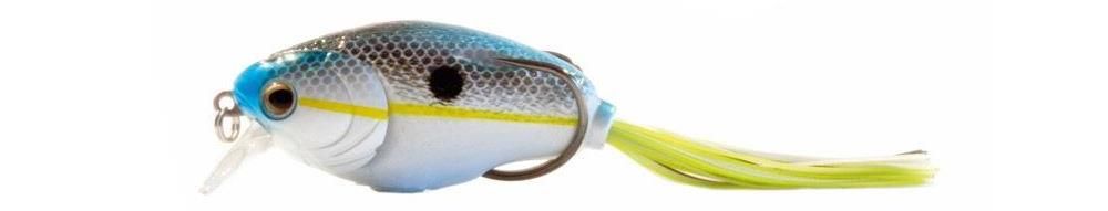 Molix Supernato Baby