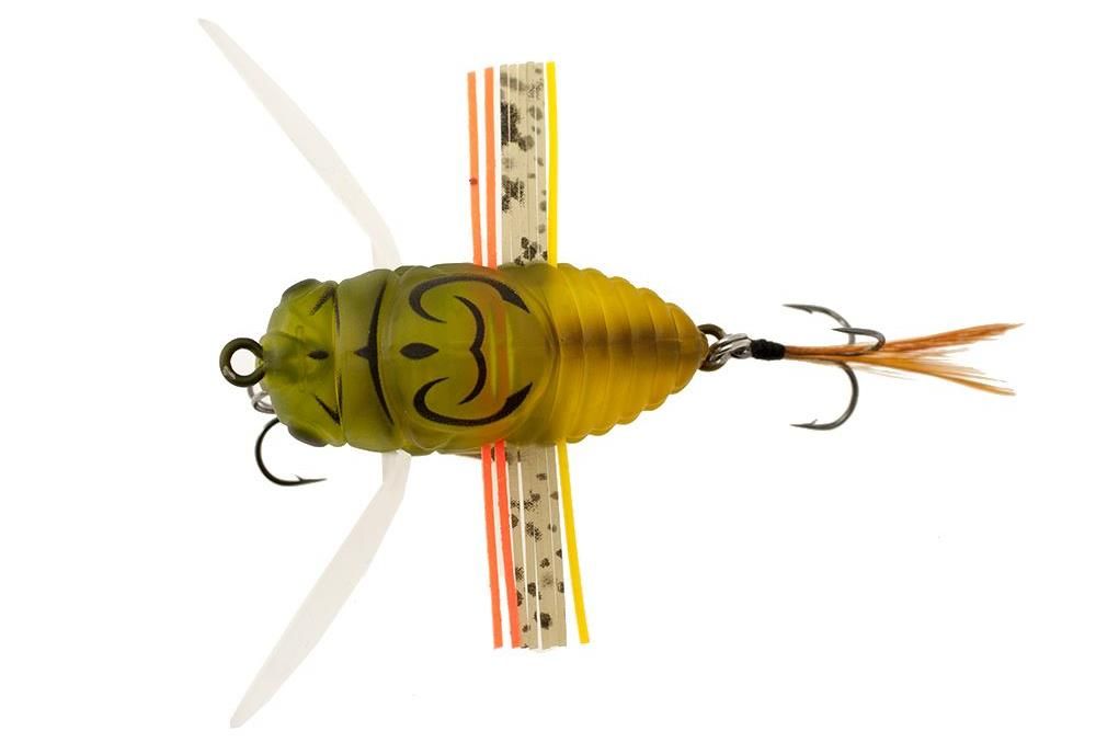 DUO Realis Shinmushi