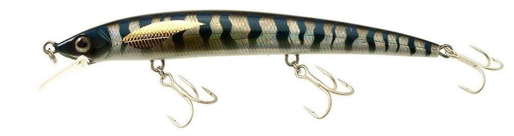 Molix Finder Jerk 150