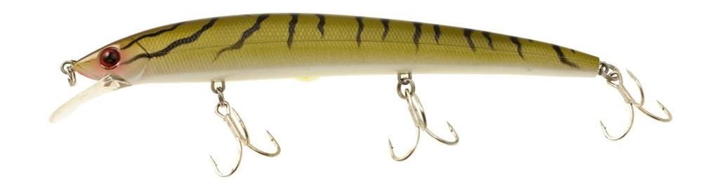 Molix Finder Jerk 150