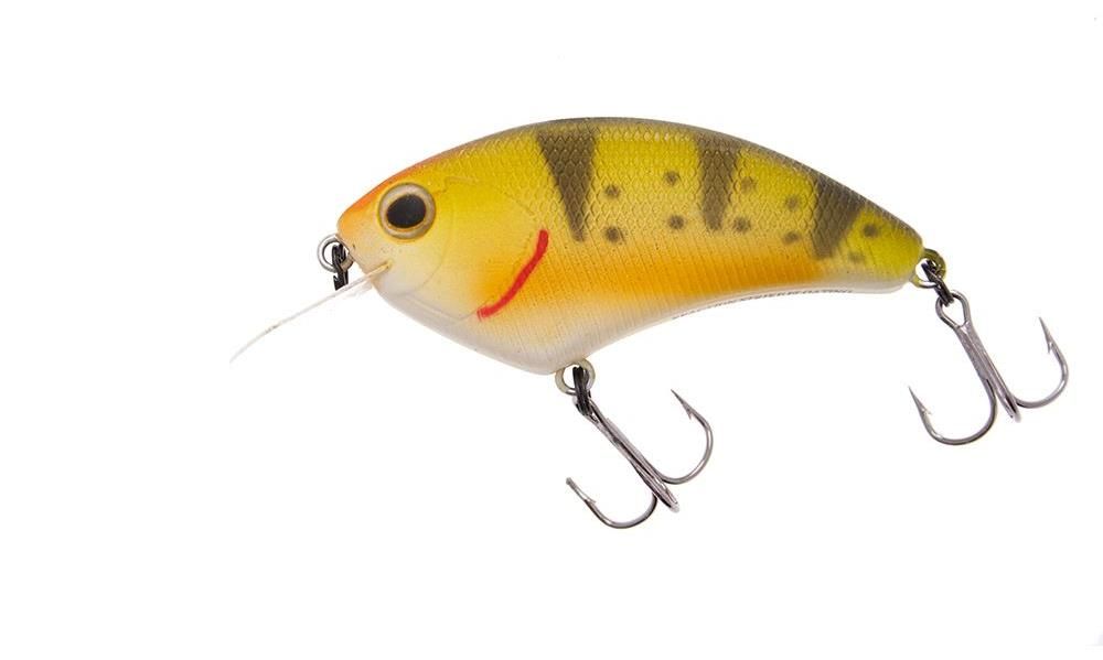 Reaction Strike XCB-S