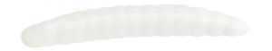Light Game Softbaits di colore Caimani del prodotto Berkley Gulp Floor Worm di marca Berkley