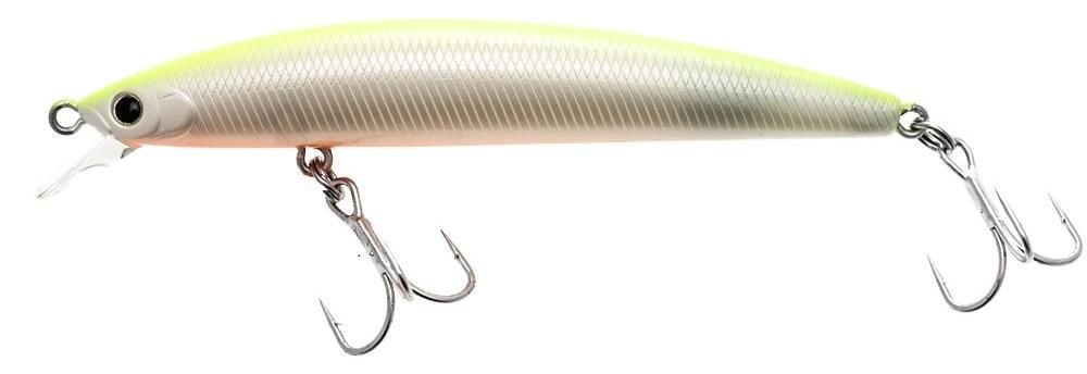 Daiwa Shoreline Shiner R40+ Plus