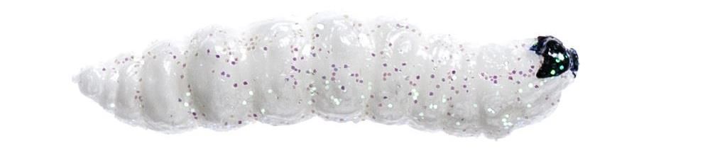 Carson Tamura Camola