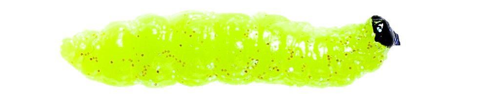 Carson Tamura Camola