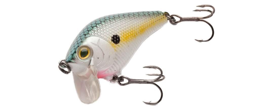 Crankbaits di colore Natural Shad del prodotto Vicious VC2 crankbait di marca Vicious