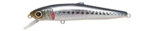 Jerkbaits di colore GG Iwashi del prodotto Megabass Edonis Missile di marca Megabass
