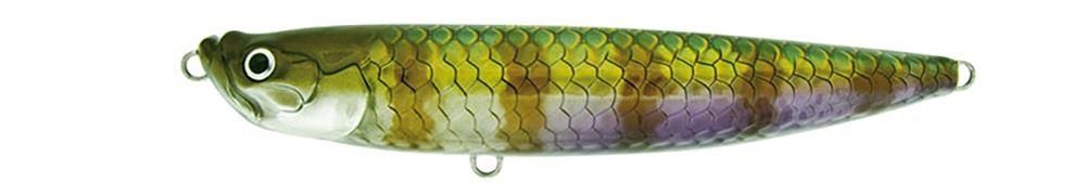 Molix WTD 150T Walking The Dog Tarpon