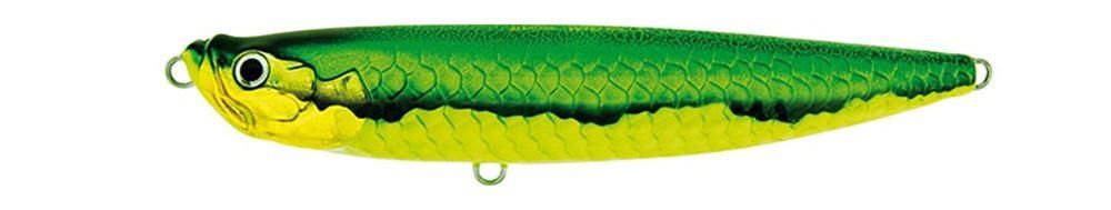 Molix WTD 150T Walking The Dog Tarpon