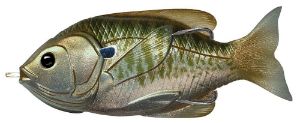 Livetarget Hollow Belly Sunfish 