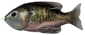 Livetarget Hollow Belly Sunfish 