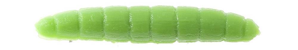 Pelican Bruco caimano