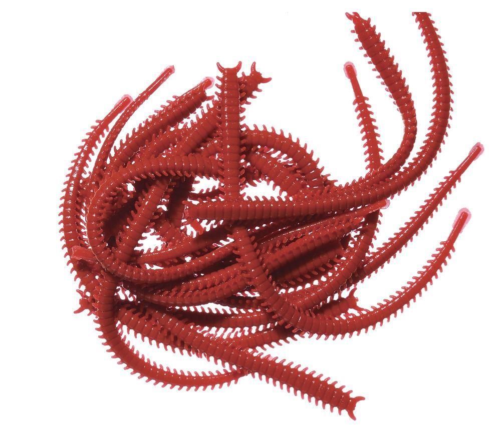 Marukyu Isome Ragworm - Bass Store Italy: Oltre 50.000 Prodotti Pesca ...