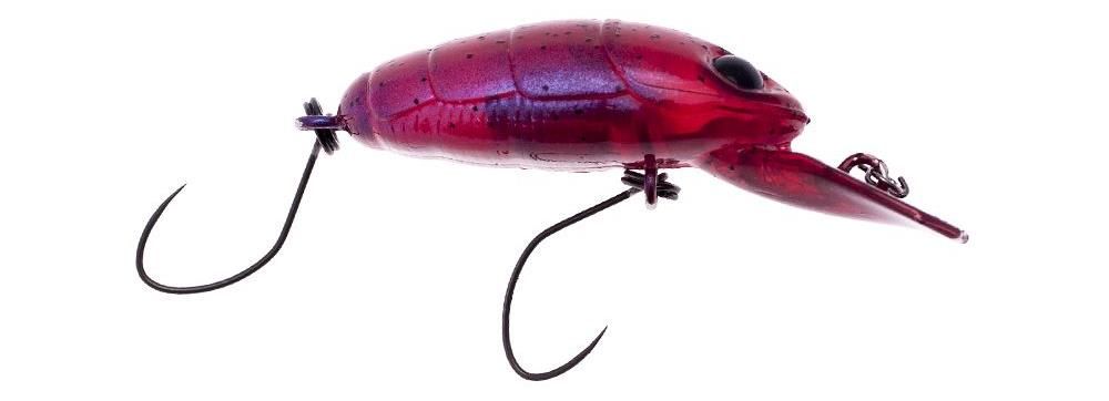 Nories Crankin' Pupa