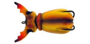 Molix Supernato Beetle