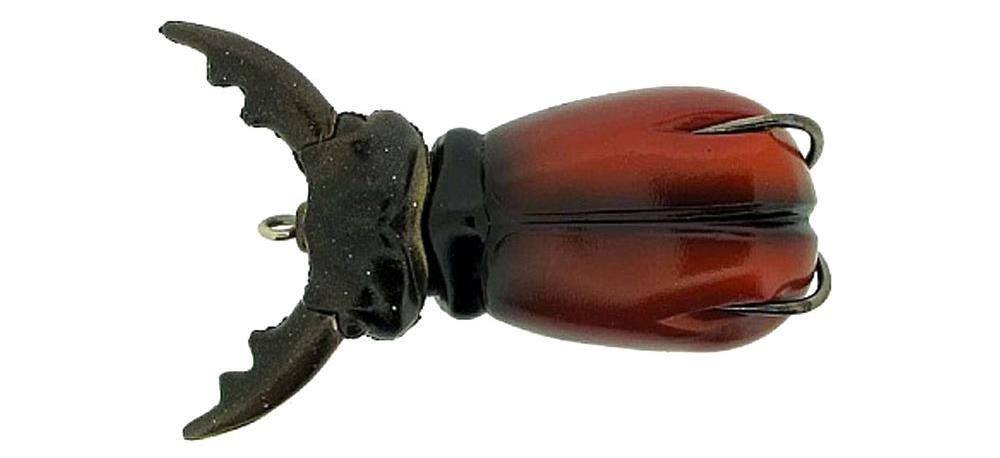 Molix Supernato Beetle