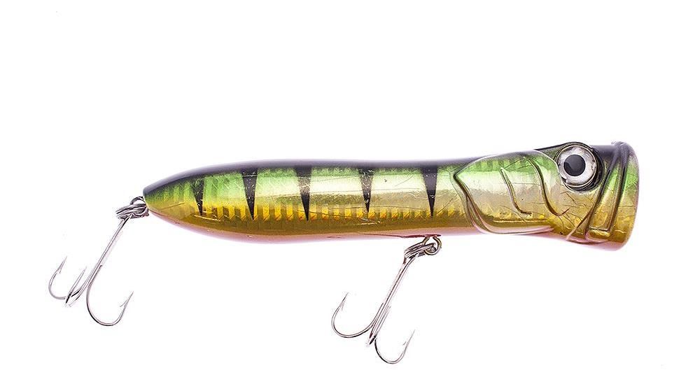 Yoshikawa Promotion Popper