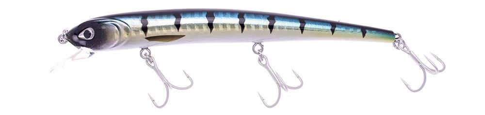 Jerkbaits di colore #172 del prodotto Molix Audace 130 di marca Molix