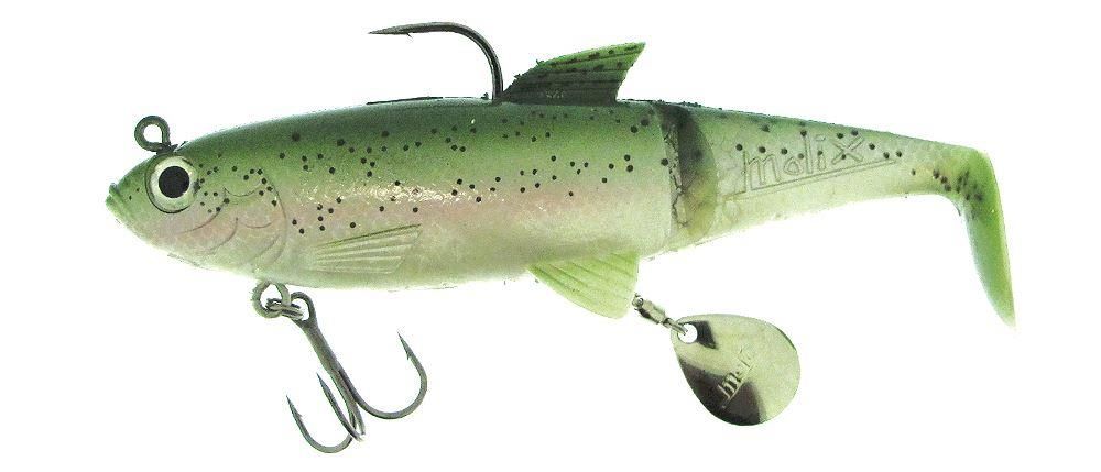 Molix Shad