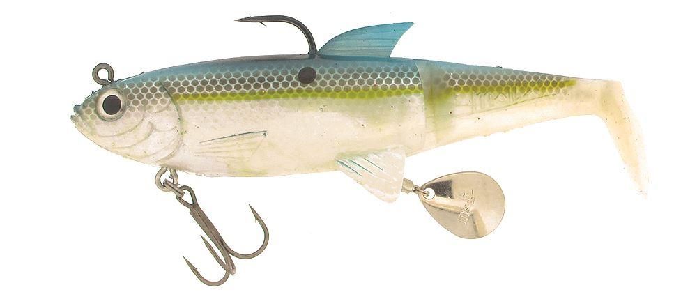 Molix Shad
