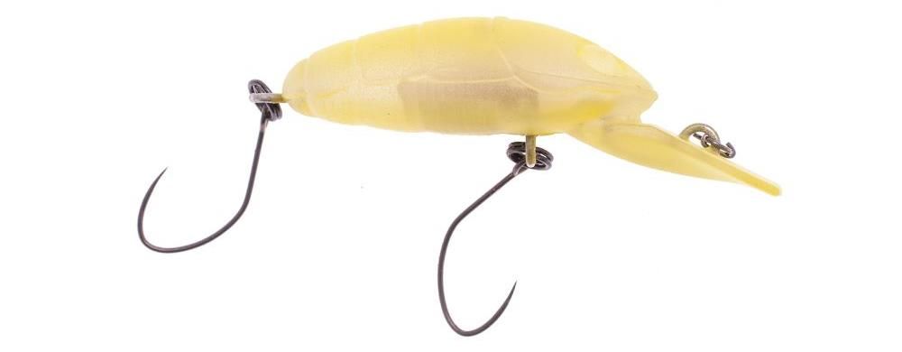 Nories Crankin' Pupa