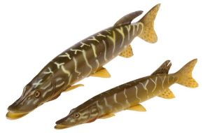 Savage Gear 3D Line-Thru Pike 