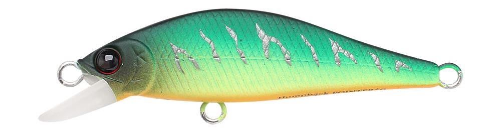 Lucky Craft Humpback Pointer 50 ~Watch~