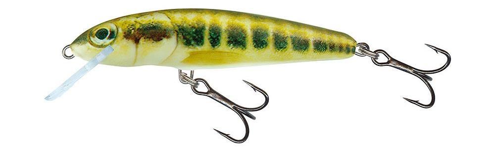 Salmo Minnow