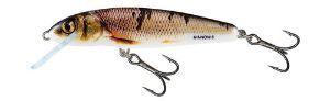 Salmo Minnow
