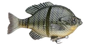 Swimbaits di colore Light Gill del prodotto Savage Gear 3D Blue Gill swimbait di marca Savage Gear