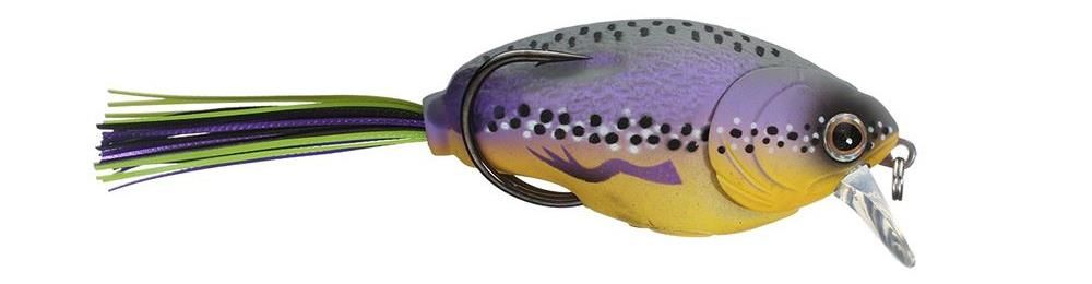 Molix Supernato Baby