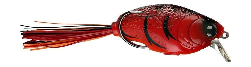 Molix Supernato Baby