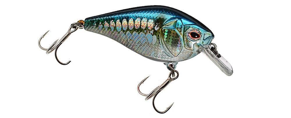 Castaic Boyd Duckett BD 1.5 Square bill Crankbait