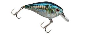 Castaic Boyd Duckett BD 1.5 Square bill Crankbait