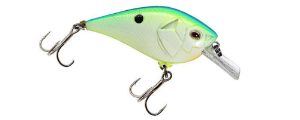 Castaic Boyd Duckett BD 1.5 Square bill Crankbait
