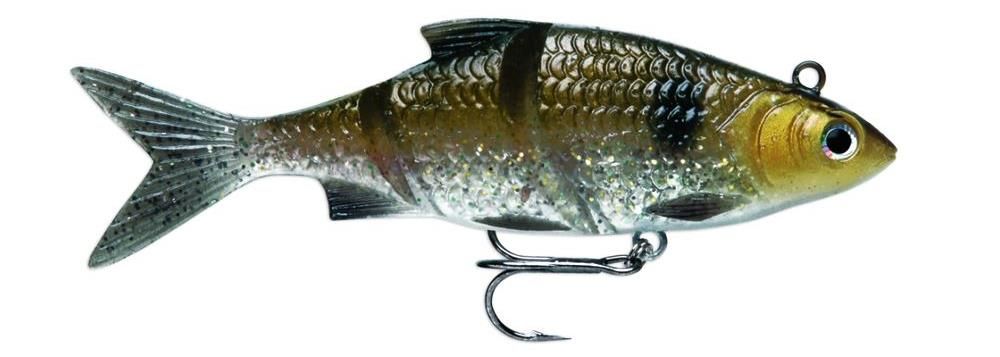 Swimbaits di colore Gold Shiner del prodotto Storm Live Kickin' Shad di marca Storm