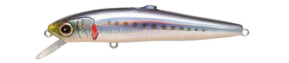 Jerkbaits di colore M Iwashi del prodotto Megabass Edonis Missile di marca Megabass