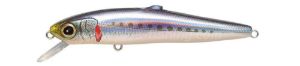 Jerkbaits di colore M Iwashi del prodotto Megabass Edonis Missile di marca Megabass