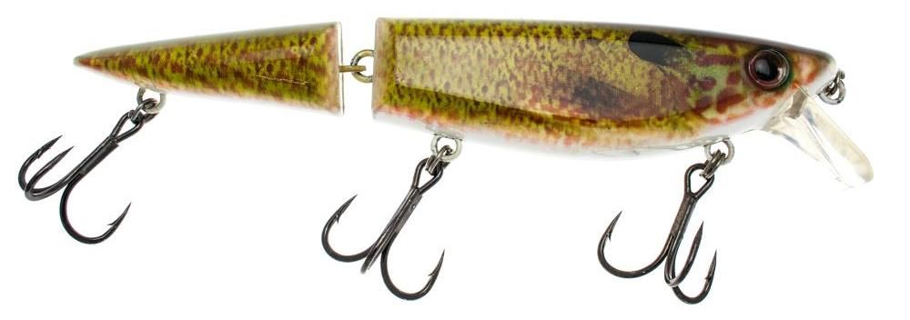 Musky Armor Krisco Jr.