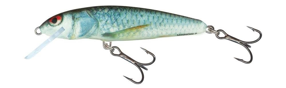 Salmo Minnow