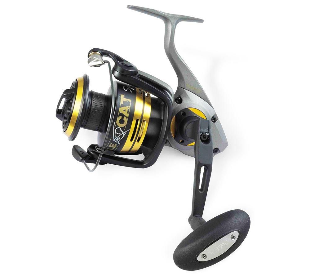 Black Cat Battle Cat Spin FD